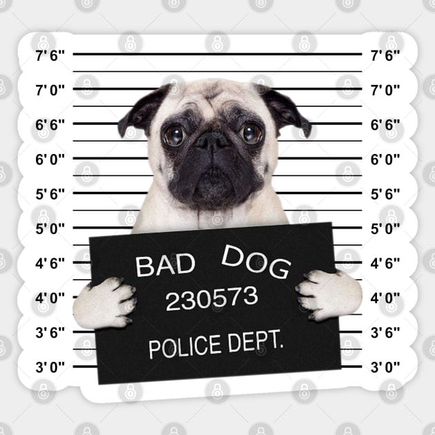 Pug shot t shirt deals